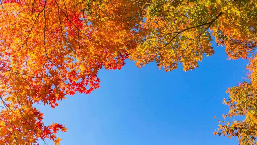 More near-record warmth Monday in Minnesota ahead of big cooldown — WCCO / CBS Minnesota, Eagan Community news