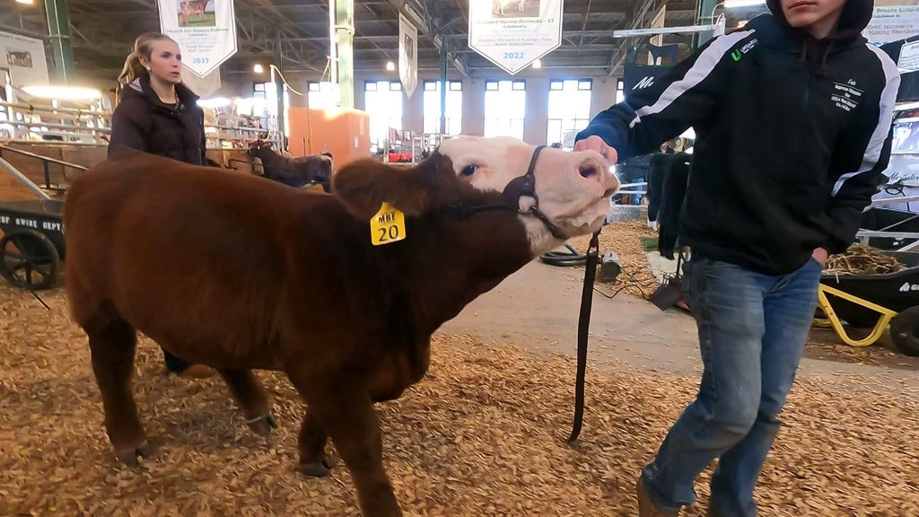 Spotlight on beef as Minnesota midterms near — WCCO / CBS Minnesota, Eagan Community news