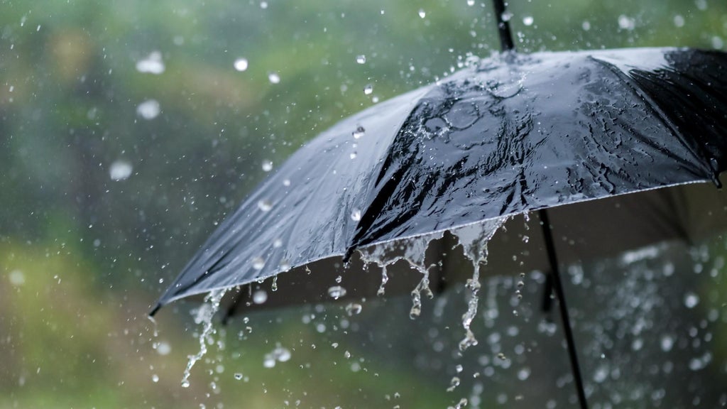 Widespread rain in Minnesota Monday; milder air returns Tuesday — WCCO / CBS Minnesota, Eagan Community news