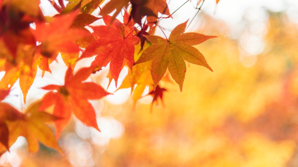 More sunny, mild late October weather in Minnesota Tuesday — WCCO / CBS Minnesota, Eagan Business news