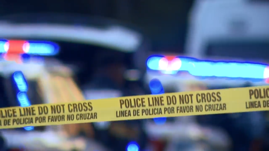 Man accused of stabbing, killing his own mother in Tamarac, BSO says — CBS Miami, Eagan Health news