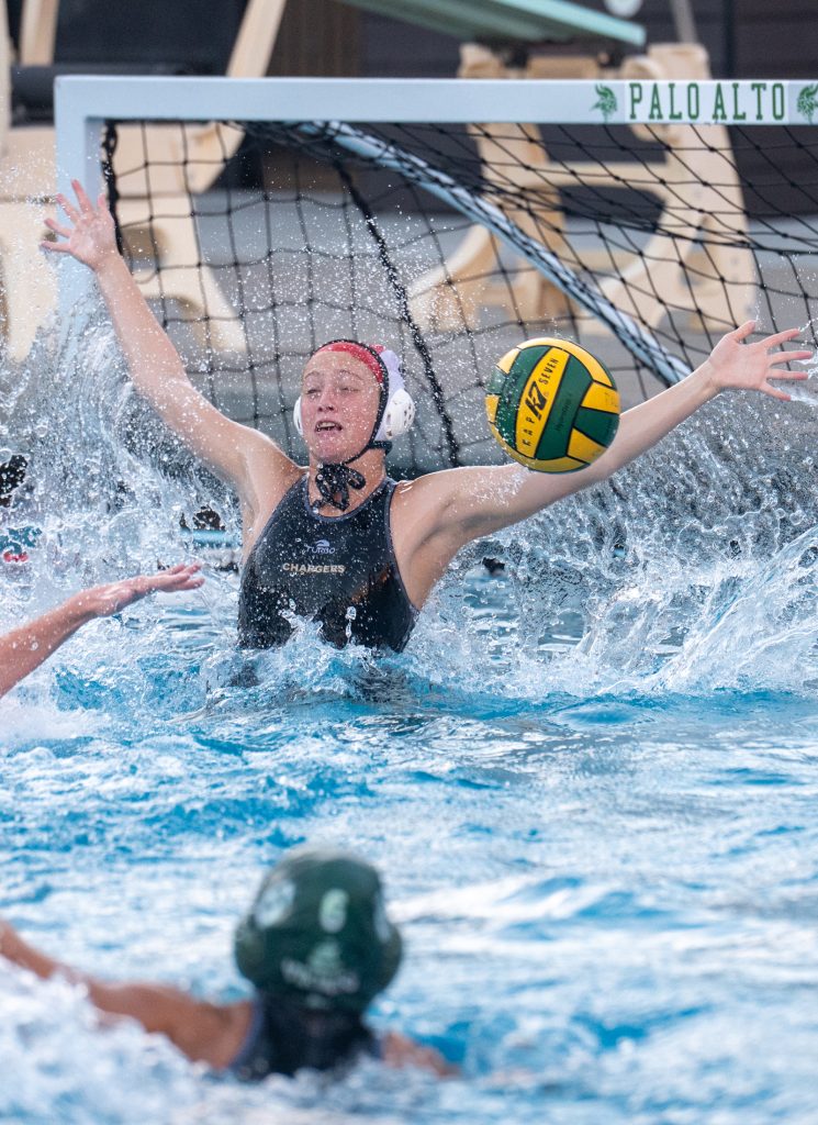 Wilcox Water Polo Caught in Vikings Rip Current — Silicon Valley Voice, Eagan Sports news