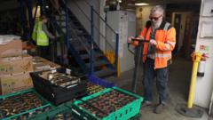 Food aid charity under pressure from fuel costs — BBC Business, Eagan Business news