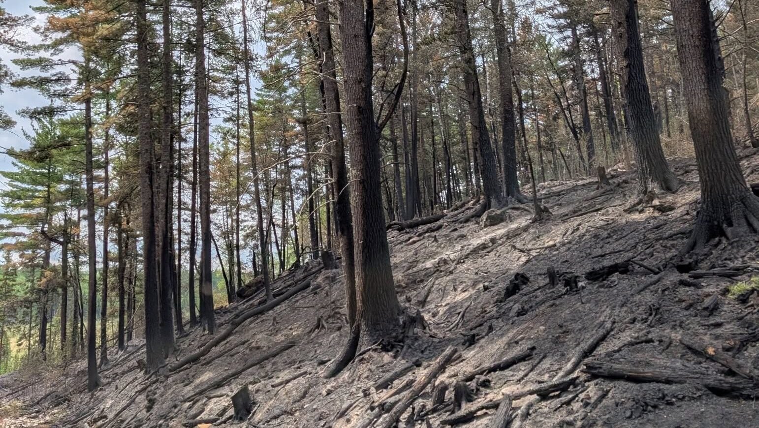 74-year-old who became separated from his family on a trail in Ely was discovered dead — KSTP 5, Eagan Community news
