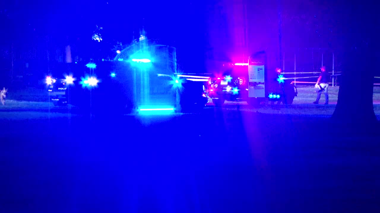 Brooklyn Park teen shooting suspect ordered to stand trial as adult — FOX 9, Eagan Community news