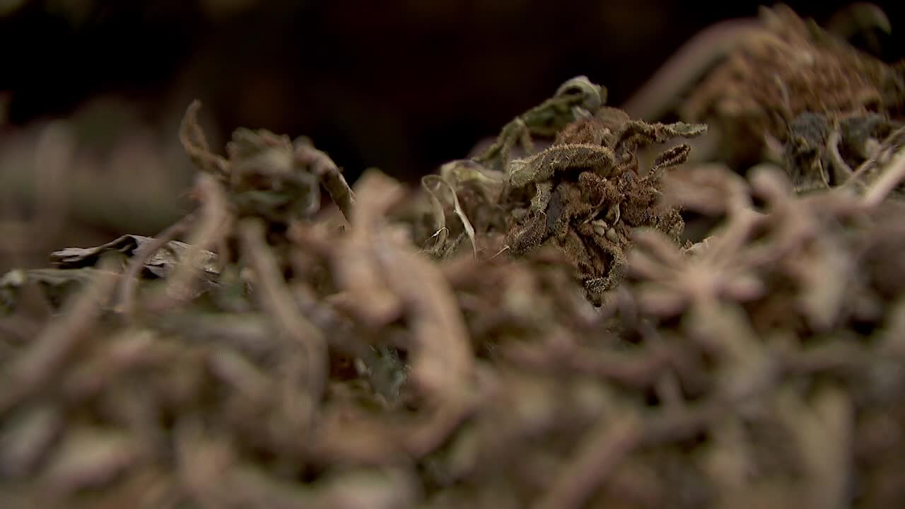 Hemp THC deadline hits $200 million industry, leads to layoffs, but liquor stores may maintain — FOX 9, Eagan Business news