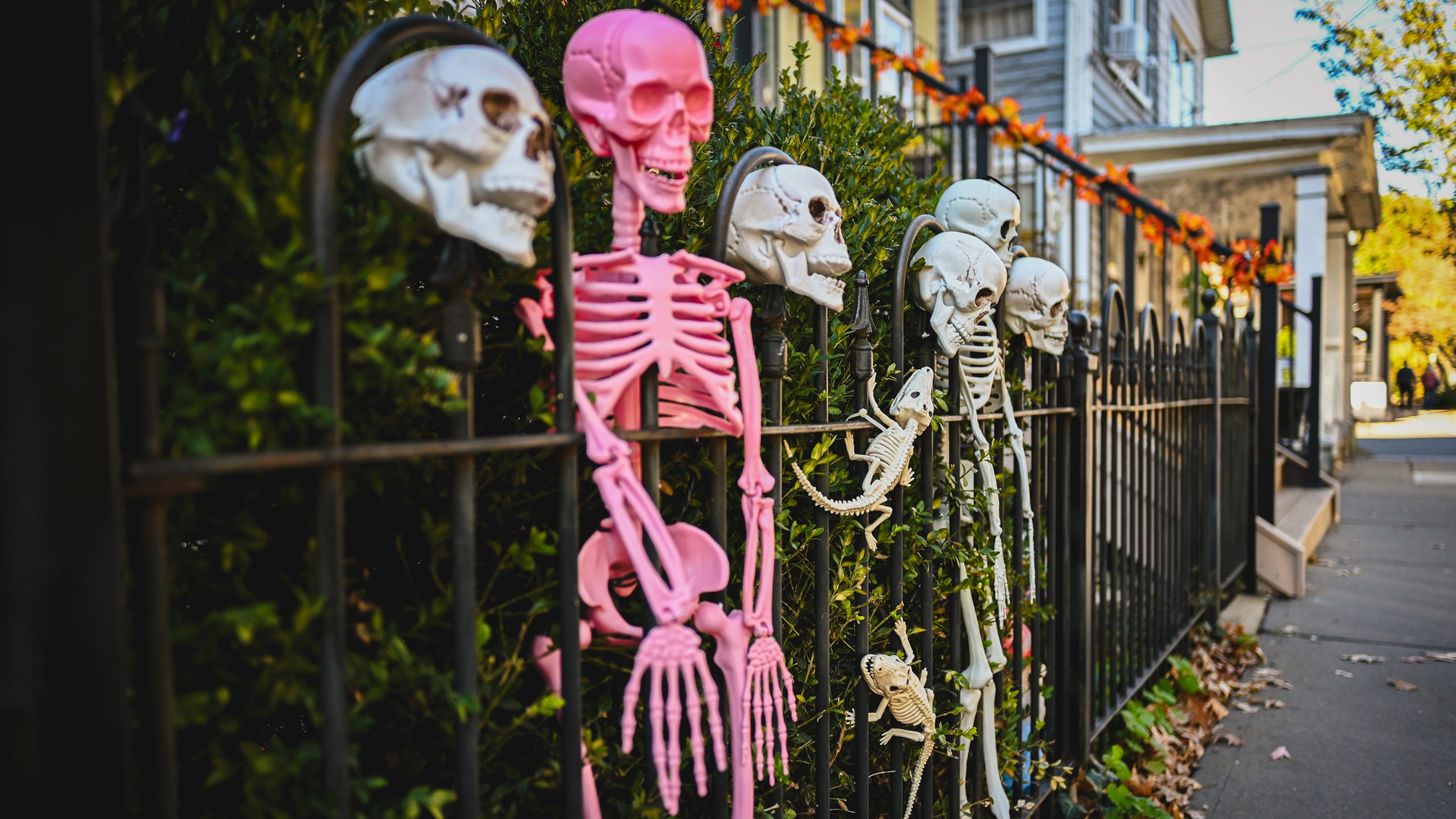 America's best cities for Halloween, ranked — FOX 9, Eagan Community news