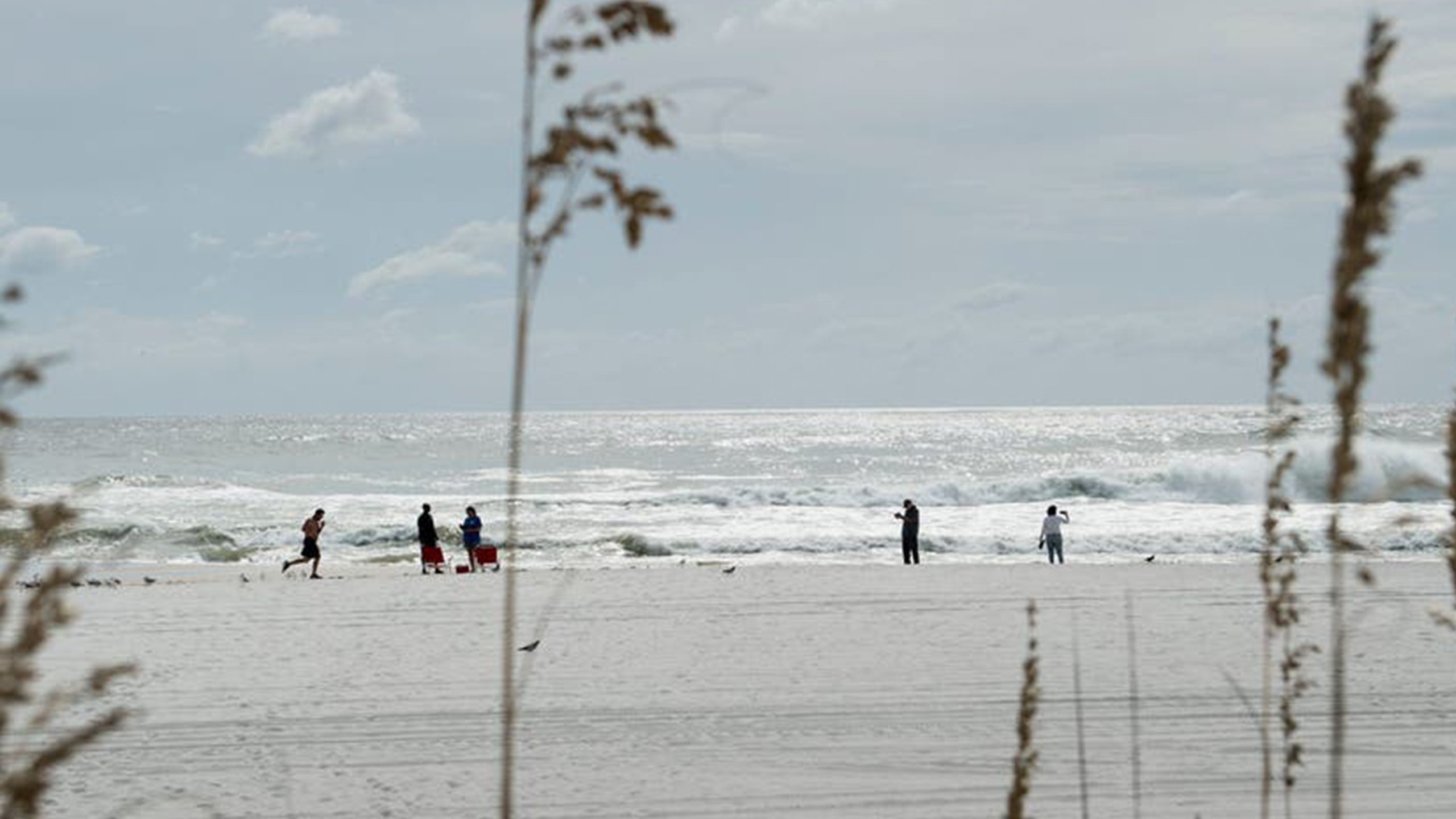 Father of 2 drowns after being caught in current trying to rescue seagull caught in fishing line — Eagan Community news